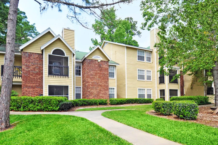 Polos at Gainesville 3